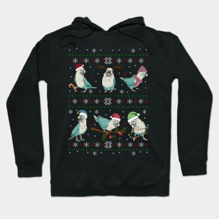 Ugly Christmas cinnamon turquoise conure pattern Hoodie